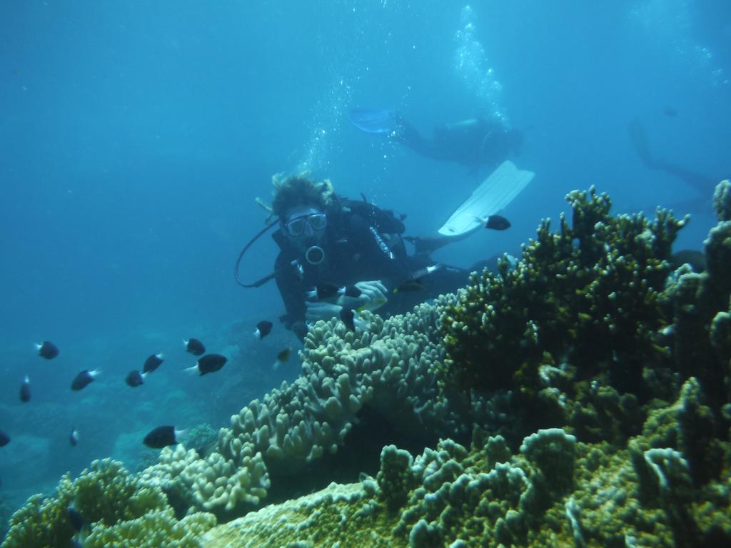 Hapier Villa Nha Trang Eksteriør billede
